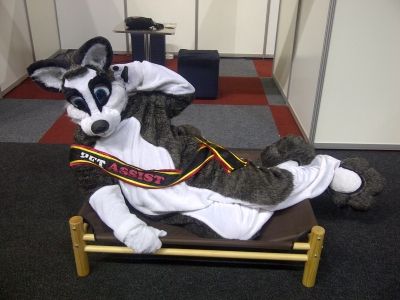 Off the Floor Dog Bed by Pet Assist