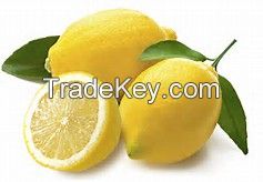 Best FRESH LEMON