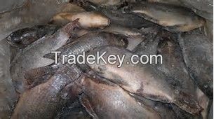 Top quality Frozen Black /Red Tilapia ( WR, WGS, FILLET)
