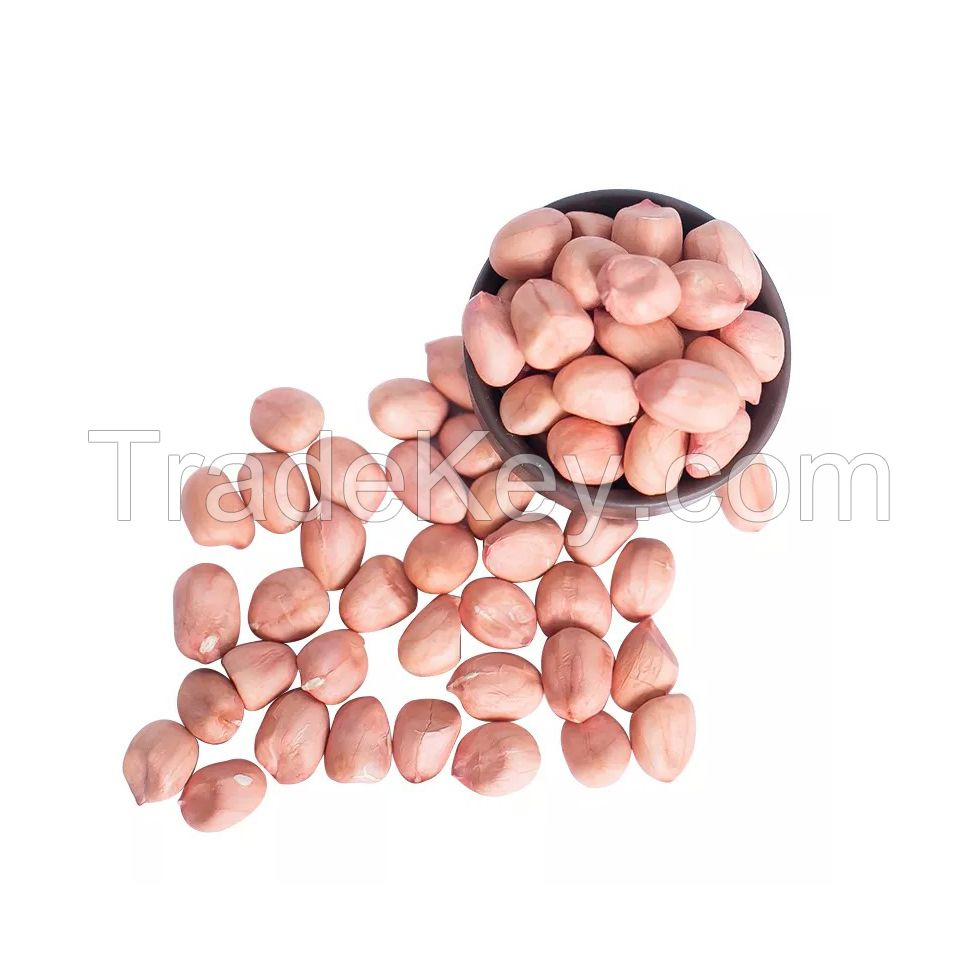 Peanuts Raw In Shell High Quality Peanuts Dried Egypt Top selling Peanuts wholesale bulk new crop