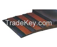  Nylon, EP & Fabric Conveyor Belt