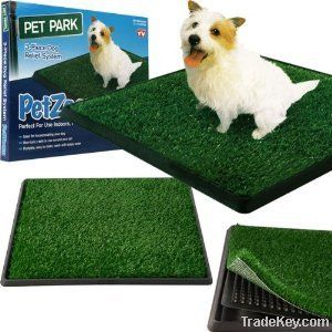 puppy toilet training product