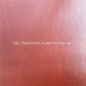 Space PU Leather For Shoes(HD-X0110)