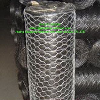 S.S Hexagonal Wire Netting 