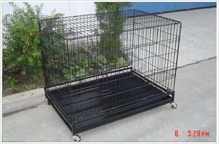 hot sale welded wire mesh  