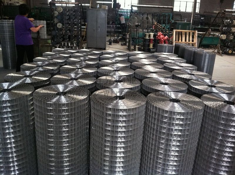 galvanized welded wire mesh  