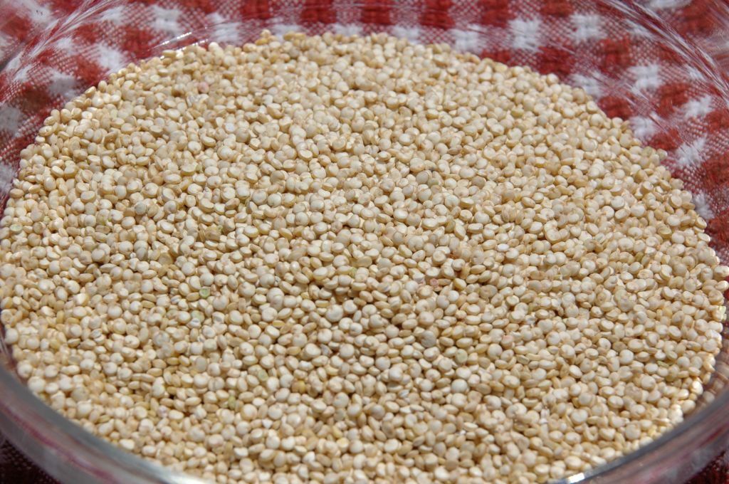 Quinoa