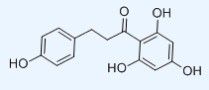 Phloretin