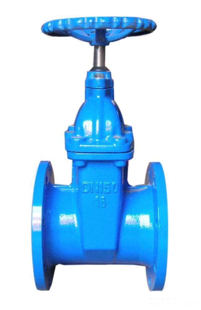 ANSI Resilient steated gate valve