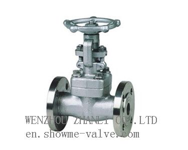 Forged steel gate valve