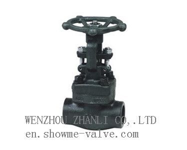 Forged steel gate valve