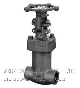 Forged steel gate valve