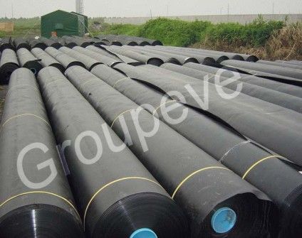 HDPE Geomembranes