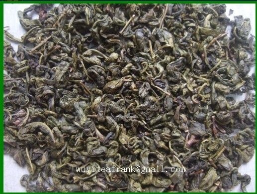 Organic China green tea gunpowder green tea 9375