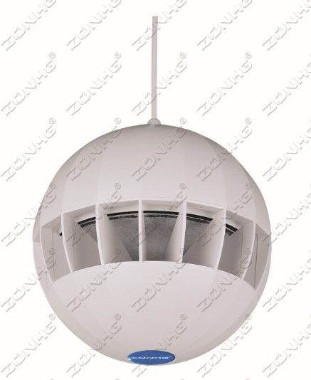 30W Hanging Speaker for Pa System