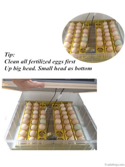 Wholesale Digital Mini Egg Incubator for Sale 48 Eggs Fully Automatic