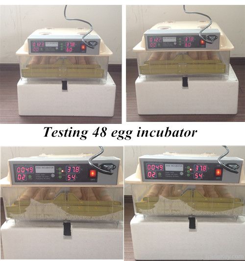 Wholesale Digital Mini Egg Incubator for Sale 48 Eggs Fully Automatic