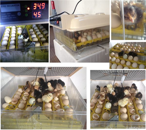 Wholesale Automatic Egg Incubator