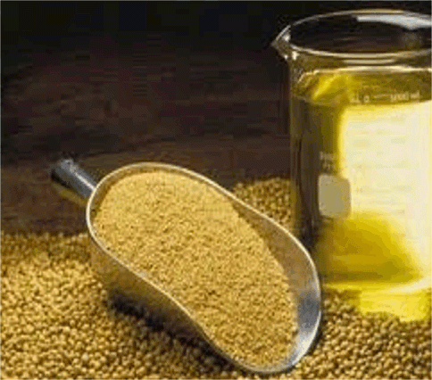 crude rapeseed oil suppliers,crude rapeseed oil exporters,rapeseed oil manufacturers,crude rapeseed oil traders,