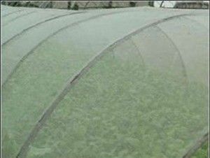  Poultry/ Locust breeding net, 