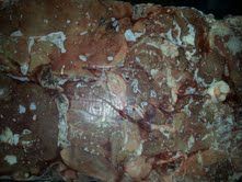 EMU MEAT