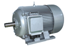 Y Series  three-phase asynchronous motors