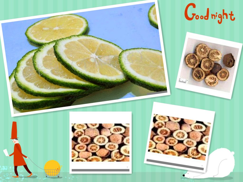 citrus aurantium herb extract powder  