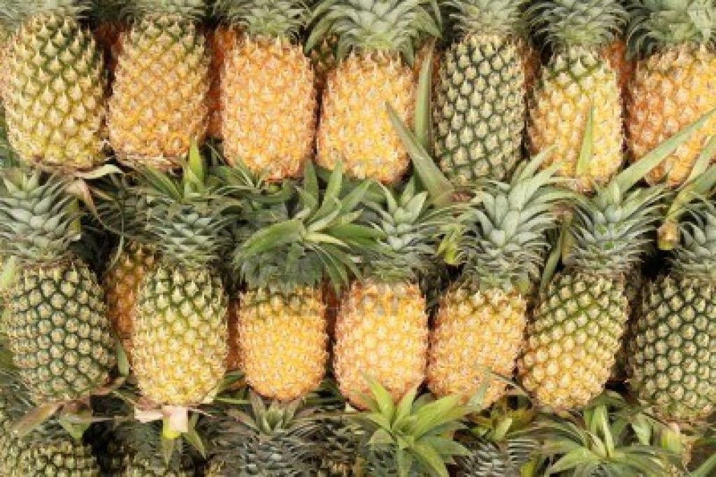 Organic fresh and dried Pineapple