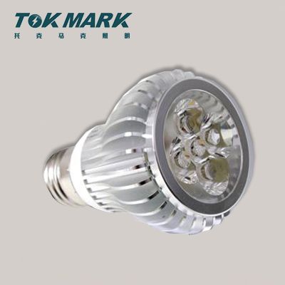 Led Par Light 3W