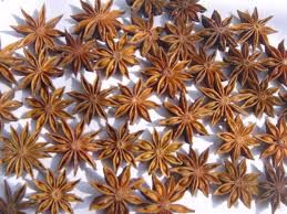 Star Aniseed Spices