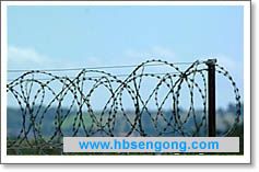 Barbed Wire&amp;Razor Wire 