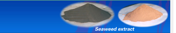 SEAWEED EXTRACT, SEAWEED FERTILIZER