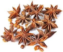 Viet Nam Star anise from VINA SPAEX CO