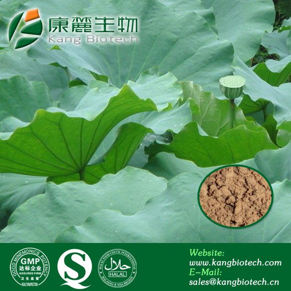 Loss weight ingredients lotus leaf extract nuciferine