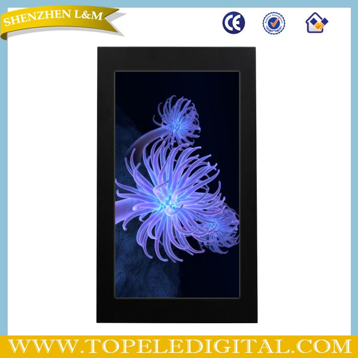 32" 3D naked eye lcd monitor,3D without glasses lcd display,3D lcd advertising screen