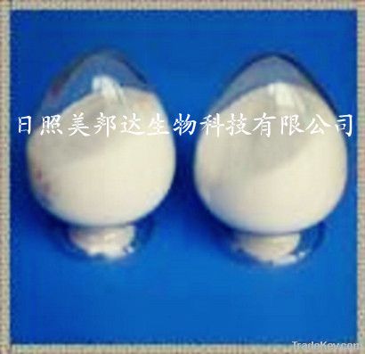 Chondroitin Sulfate - Bovine Cartilage 85%