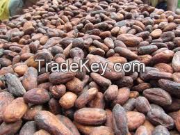 COCOA BEANS