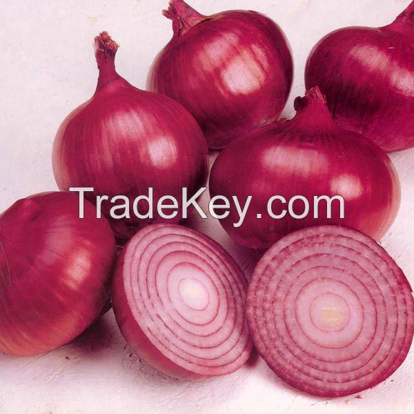 RED ONION 