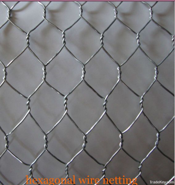 1/2 hexagonal animal wire netting