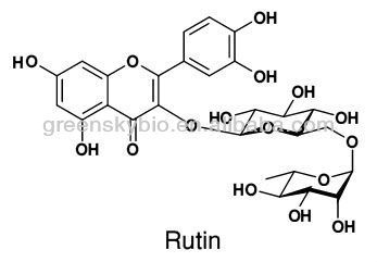 Top quality Herb Extract NF11 EP7.0 Rutin