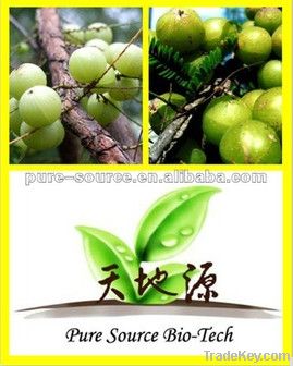 Emblic Leafflower Fruit Extract