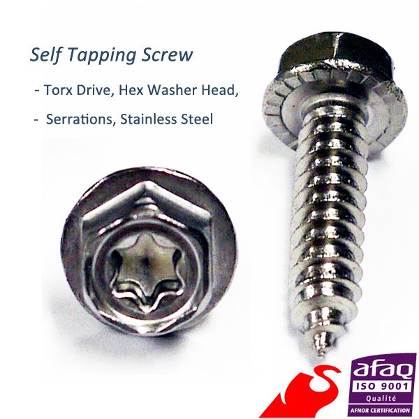 Self Tapping Screws (A2, Stainless)