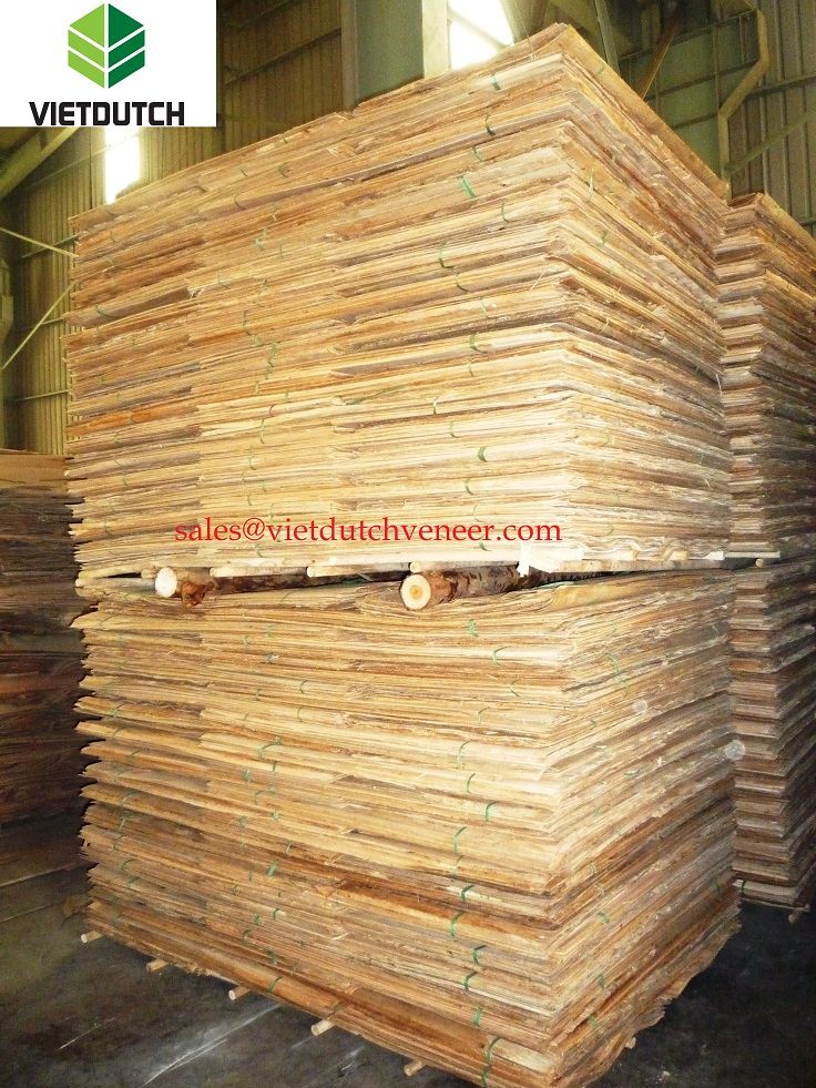 Eucalyptus core veneer