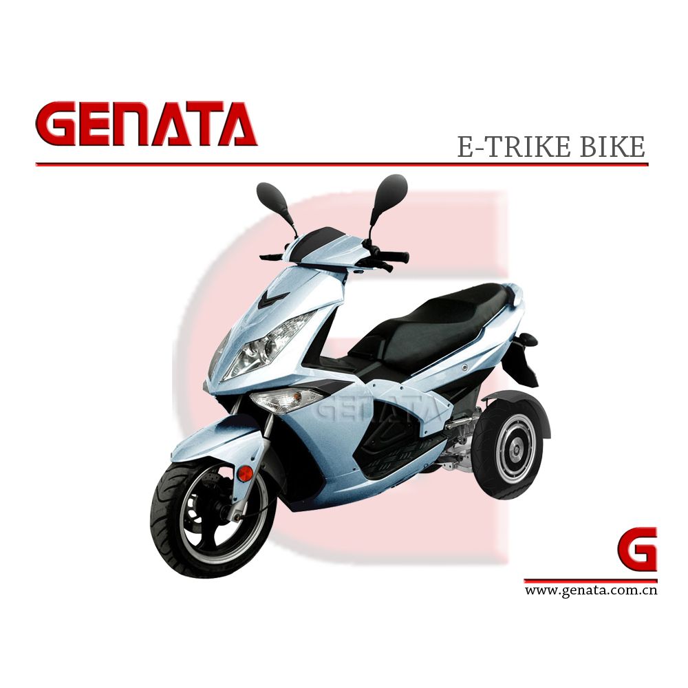 Electric Motorcycle (GM690E)