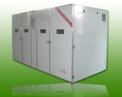 large commercal automatic egg incubator 19000 eggs