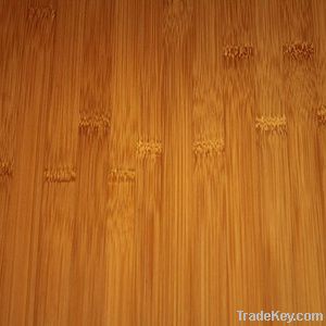 Bamboo Flooring