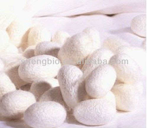 Sericin powder