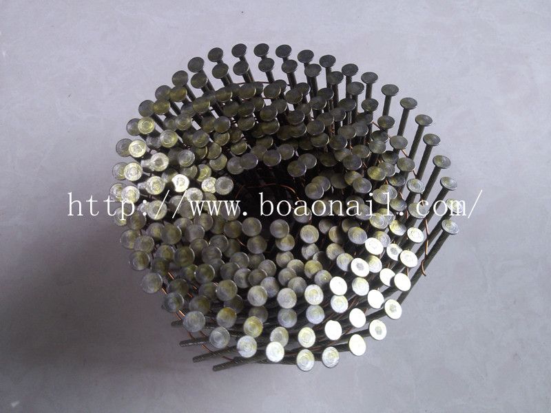 Best Price Coil Nail with Good Quality