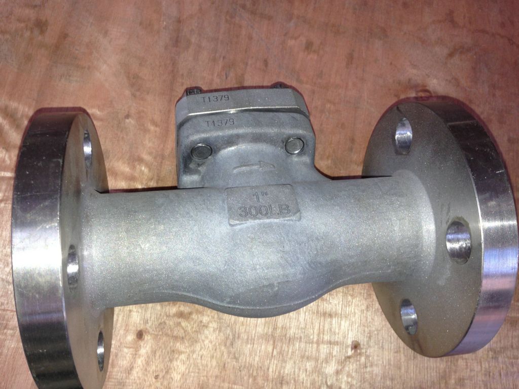 Hastelloy Material Swing Check Valve