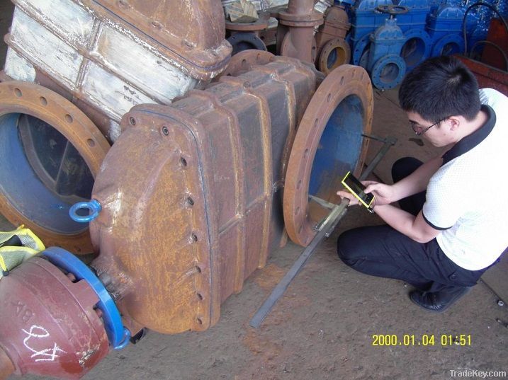 Rubber Lined Gate Valve